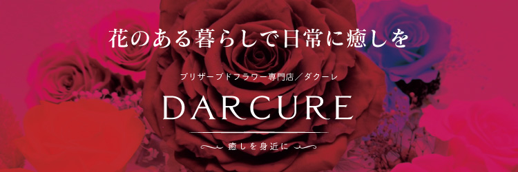 Dar Cure｜ダ・クーレ